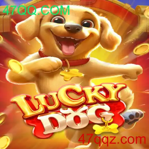 LuckyDog: Descubra a Emoção e as Regras do Jogo Inovador da 47QQ.COM